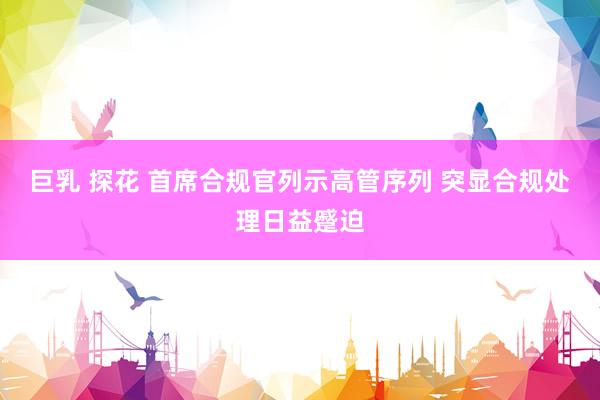 巨乳 探花 首席合规官列示高管序列 突显合规处理日益蹙迫