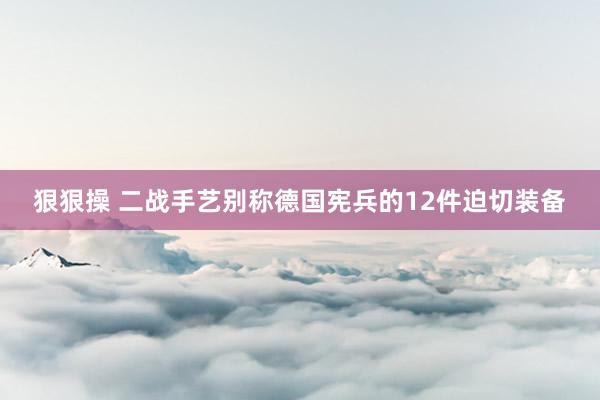 狠狠操 二战手艺别称德国宪兵的12件迫切装备