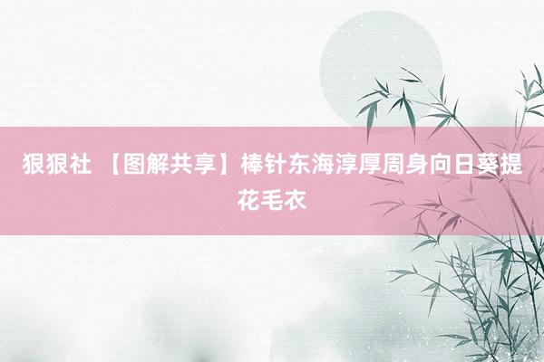 狠狠社 【图解共享】棒针东海淳厚周身向日葵提花毛衣