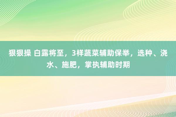 狠狠操 白露将至，3样蔬菜辅助保举，选种、浇水、施肥，掌执辅助时期