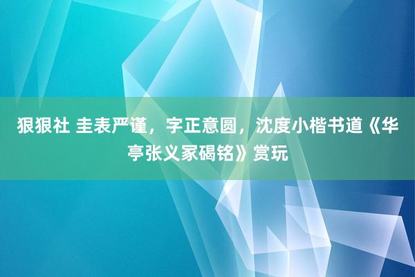 狠狠社 圭表严谨，字正意圆，沈度小楷书道《华亭张义冢碣铭》赏玩