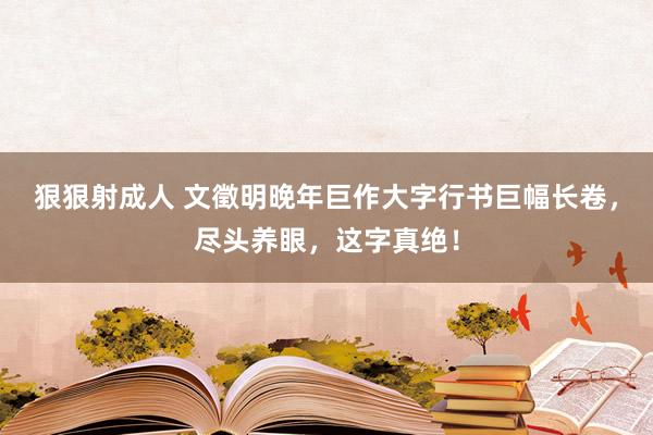 狠狠射成人 文徵明晚年巨作大字行书巨幅长卷，尽头养眼，这字真绝！