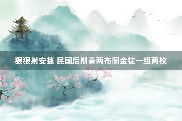 狠狠射安捷 民国后期壹两布图金锭一组两枚