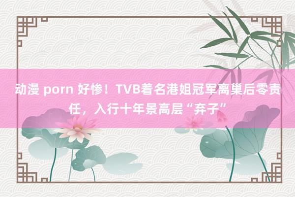 动漫 porn 好惨！TVB着名港姐冠军离巢后零责任，入行十年景高层“弃子”