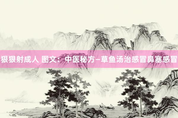 狠狠射成人 图文：中医秘方—草鱼汤治感冒鼻塞感冒