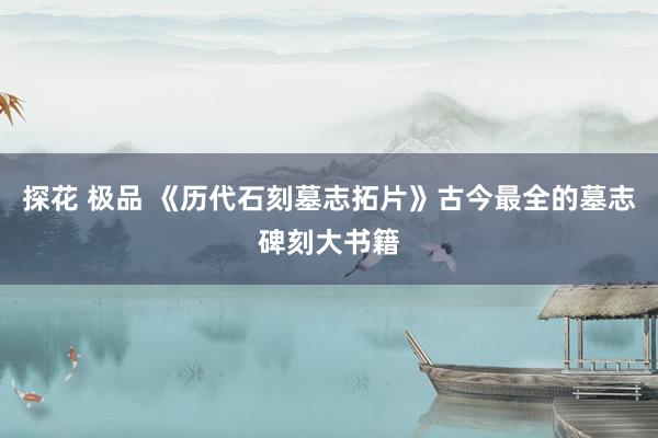 探花 极品 《历代石刻墓志拓片》古今最全的墓志碑刻大书籍