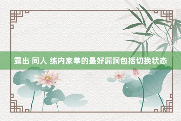 露出 同人 练内家拳的最好漏洞包括切换状态
